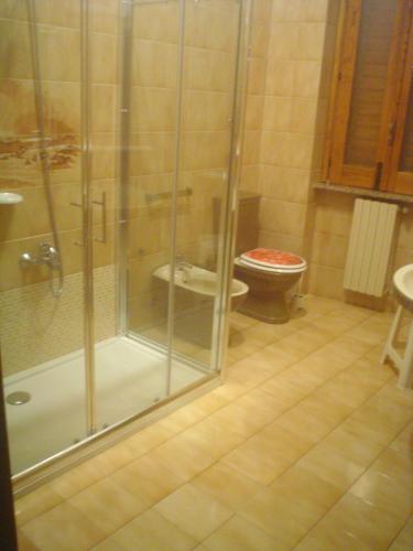 a bathroom with a shower and a toilet at Il Vigneto in Trecastagni