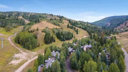 an aerial view of a house in a forest at 358 Cresta Road in Edwards