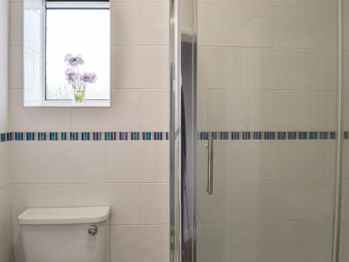 a bathroom with a shower with a toilet and a window at Joes Place in Mablethorpe
