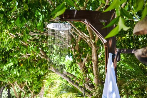 a frisbee golf net in the middle of trees at Jan Kok Lodges in Willibrordus