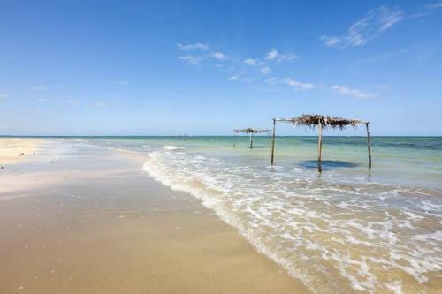 a beach with some palm trees in the water at JARDIM UXUA in Ilha de Boipeba