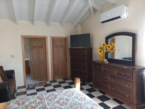 a bedroom with a bed and a dresser with a mirror at More Than Beauty Properties in Tortola Island
