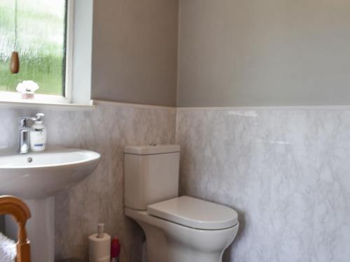 łazienka z toaletą i umywalką w obiekcie Haweswater Cottage w mieście Coundon