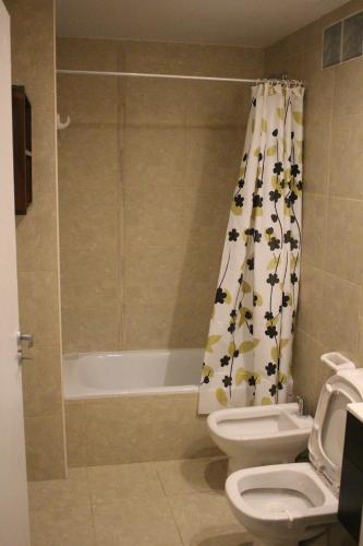 布宜諾斯艾利斯的住宿－AA Naon apart，一间带卫生间和淋浴帘的浴室