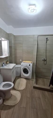 a bathroom with a shower and a toilet and a sink at La Andrei in Bistriţa
