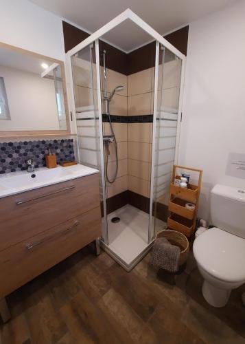 une salle de bain avec douche et toilettes dans l'établissement Adorable petite maison au coeur du Luberon, à Villelaure