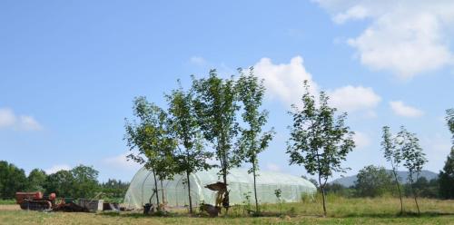 Le casette nel verde – Photos 5