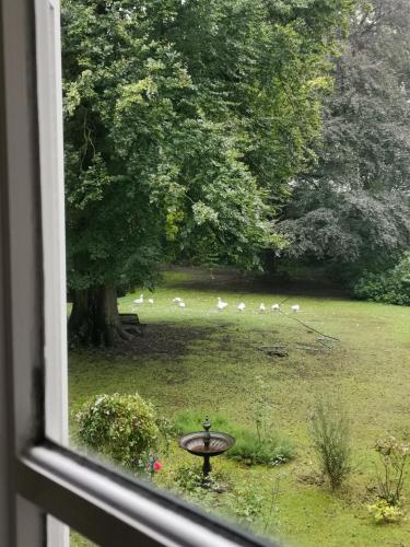 a window view of a yard with birds in the grass at Eremyten Hof in Evergem