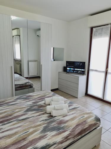 1 dormitorio grande con 1 cama grande y TV en La casa di Ida Intero appartamento en Vigevano