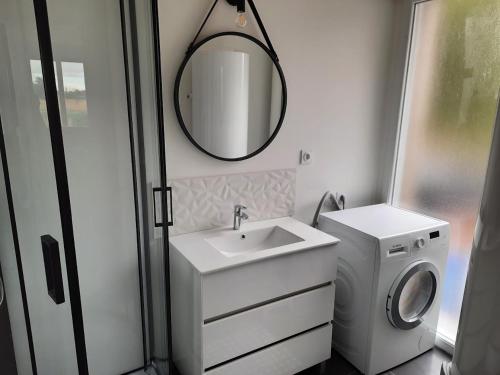 ein Badezimmer mit einem Waschbecken und einer Waschmaschine in der Unterkunft LA CLEF DES CHAMPS GITE PERRINE in Brouckerque
