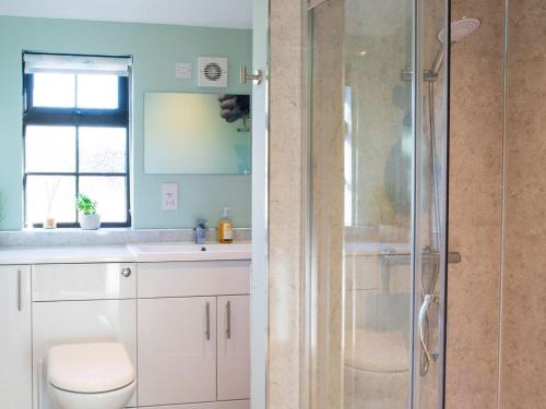 a bathroom with a shower with a toilet and a sink at Cabin Hideaways, Glenfyne - Uk38362 in Mattishall