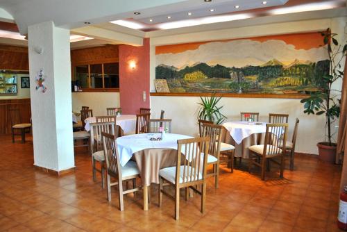 En restaurant eller et andet spisested på Hotel Aoos