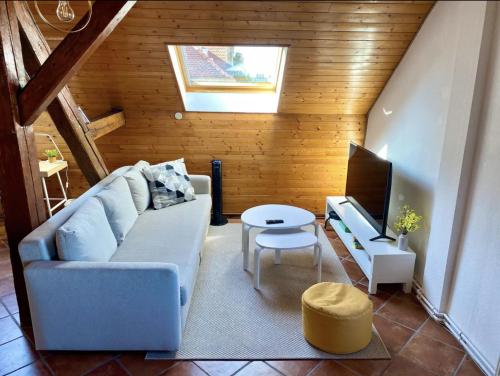 sala de estar con sofá y TV en L’Alsacien Cosy : Duplex - Netflix - Wifi/Fibre en Mulhouse