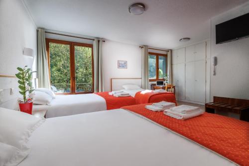 a hotel room with two beds and a television at Hôtel Saint Clair in Lourdes