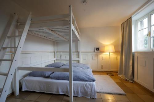 a bedroom with a bunk bed and a ladder at Paterre Wohnung in der Rosa Villa in Selb