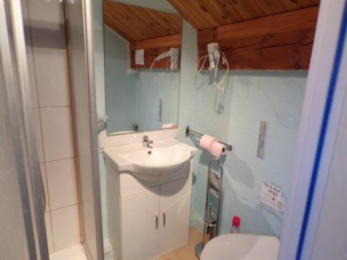 La salle de bains est pourvue d'un lavabo, d'un miroir et de toilettes. dans l'établissement Studio décor chalet jusqu'à 6 couchages, à Fontpédrouse