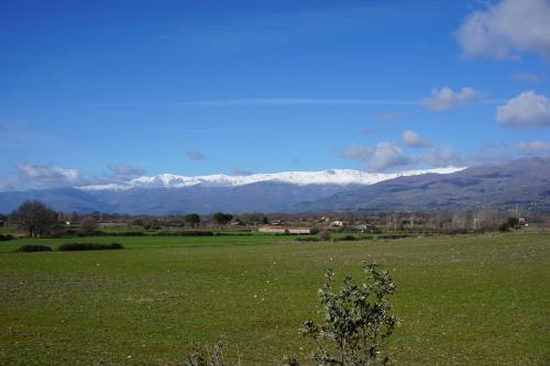 a green field with snow covered mountains in the background at Casa Los Bancales in Candeleda