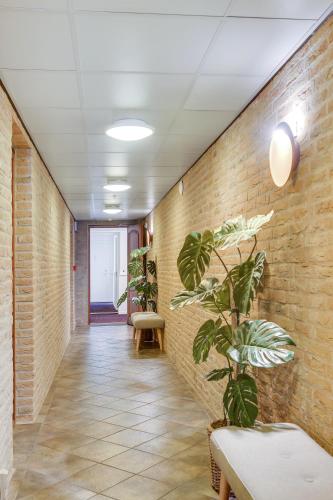 a hallway with a brick wall and a plant at Skagen Harbour Hotel in Skagen