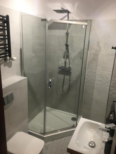 La salle de bains est pourvue d'une douche, de toilettes et d'un lavabo. dans l'établissement Apartament M, à Polanica-Zdrój