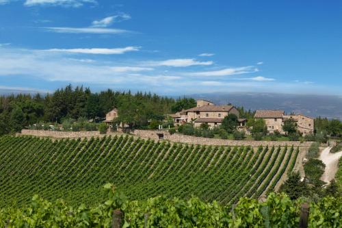 a view of a vineyard with a house in the background at Romitorio di Serelle in Barberino di Val dʼElsa