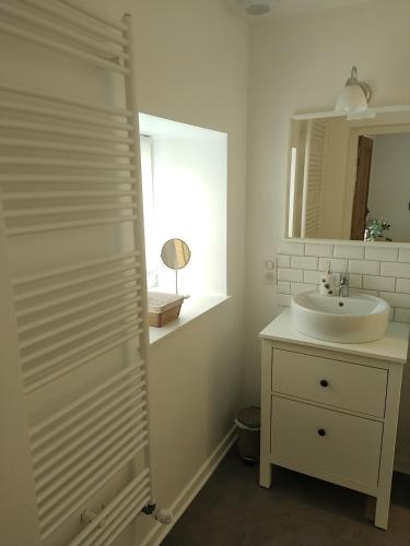 a white bathroom with a sink and a mirror at La Ferme des Galoches in Villemontais