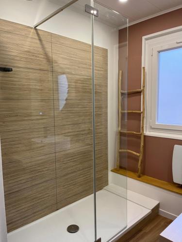 prysznic ze szklanymi drzwiami w łazience w obiekcie Appartement moderne en plein centre D'Epernay w Épernay