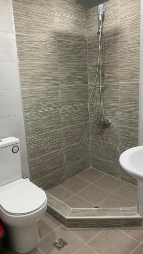 a bathroom with a shower with a toilet and a sink at Гостевые апартаменты в Ереван in Yerevan