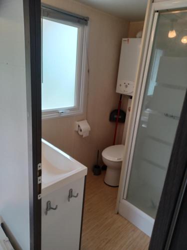 een badkamer met een bad, een toilet en een raam bij Logement entier wifi stationnement gratuit in Voiron