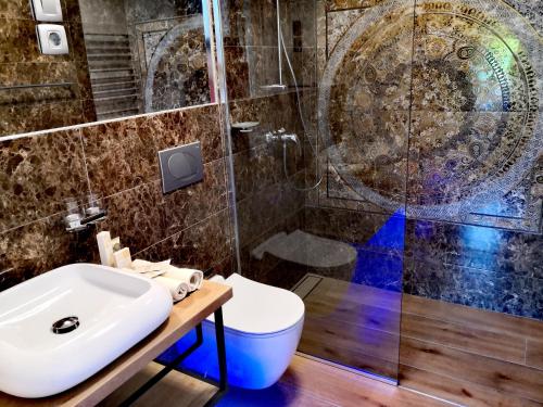 a bathroom with a sink and a toilet and a shower at Caissa - an old country lady in a new modern dress in Deskle