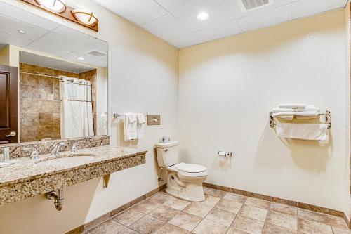 a bathroom with a toilet and a sink and a mirror at Chula Vista Condo Unit 2645 in Wisconsin Dells