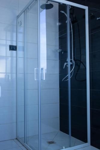 a glass shower with a sink in a bathroom at Aselefech Merga Hotel and Spa in Addis Ababa