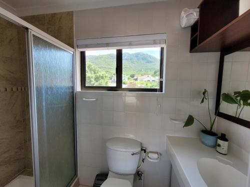 a bathroom with a toilet and a sink and a window at Leehaven Apartment in Hout Bay