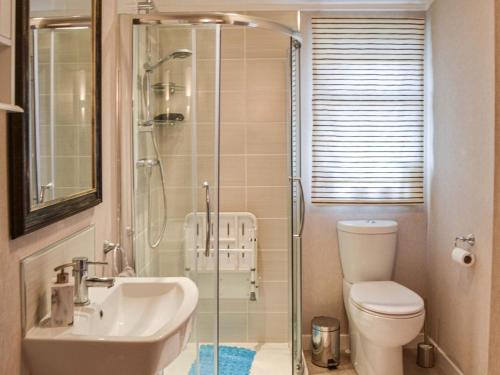 a bathroom with a shower and a sink and a toilet at Lakeside in Kelsale