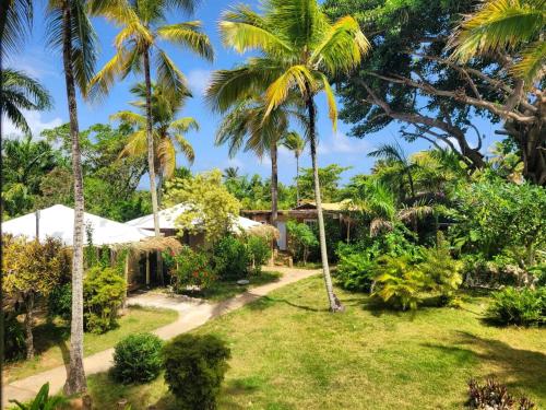 a view of the garden of a resort with palm trees at Arena Oceanview Hotel & La Terraza Restaurant in Las Galeras