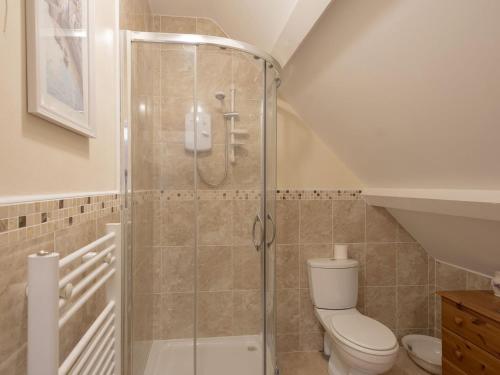 een badkamer met een douche en een toilet bij The Coach House in Oswestry