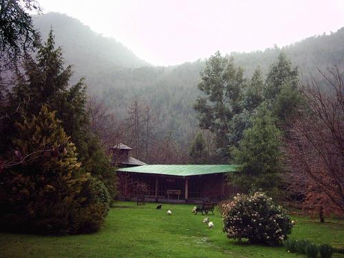 a cabin in a field with animals in the grass at Mavidahue in llifen