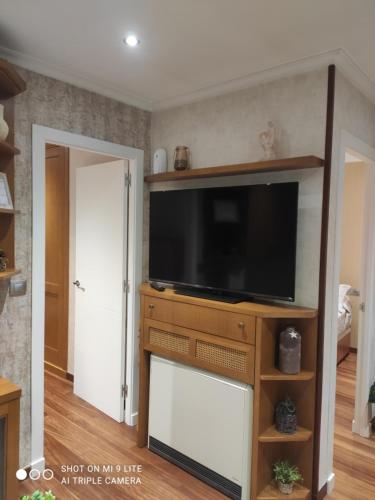 a living room with a flat screen tv on a entertainment center at Apartamento Cervantes in Ourense