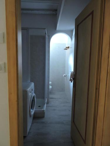 a bathroom with a washer and dryer in a room at De Prealon Apartment in Moena