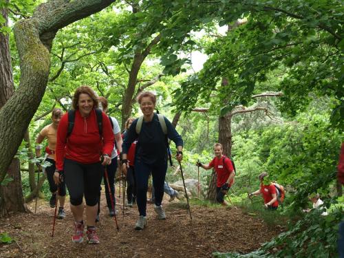 a group of people walking on a trail at Hotel Im Schulhaus in Lorch am Rhein