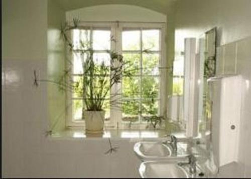 Koupelna v ubytování Sagadi Manor Hostel