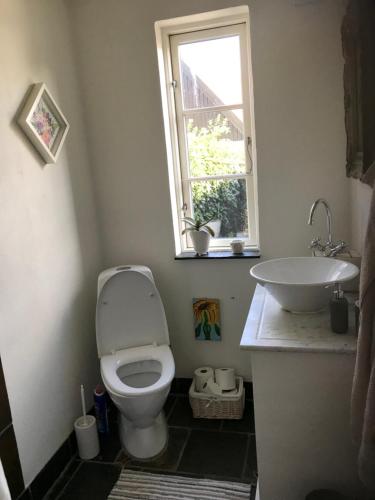 a bathroom with a toilet and a sink and a window at Vidunderligt hus på smukke Nyord in Stege