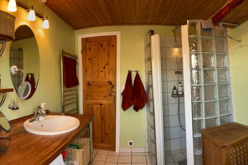 La salle de bains est pourvue d'un lavabo et d'une douche. dans l'établissement Spacey and charming cabin 300 m. from beach, à Tjørneholm