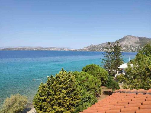 Φυσικό τοπίο κοντά σε αυτό το διαμέρισμα