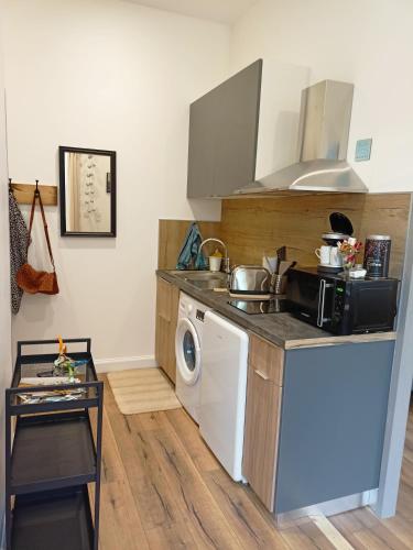 une cuisine avec un évier et une machine à laver dans l'établissement Le 28 Frater, à Millau