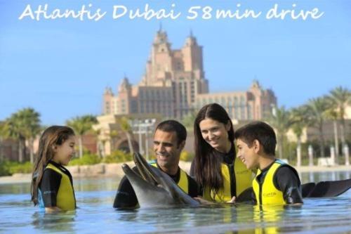 a group of people in the water with a dolphin at Deluxe Apartment on YAS with Sea View Balcony in Abu Dhabi