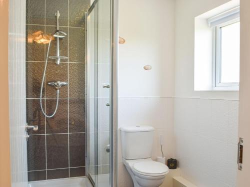 a bathroom with a toilet and a shower at Bayview in Llanelli