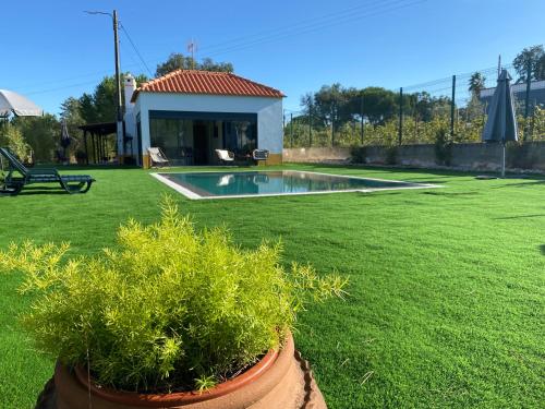a potted plant sitting in a yard next to a pool at Monte da Marouca-Mont’Argil in Montargil