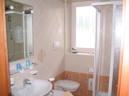 a bathroom with a sink and a toilet and a shower at HOTEL DOLOMITI di De Martin D Oscar in Comèlico Superiore