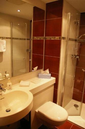 a bathroom with a toilet and a sink and a shower at Hotel Alter Posthof in Spay