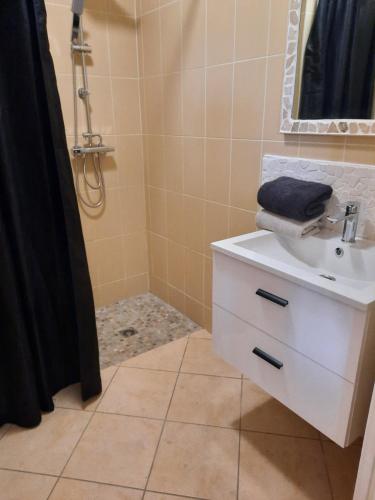 een badkamer met een witte wastafel en een douche bij Le Canari in Huisnes-sur-Mer